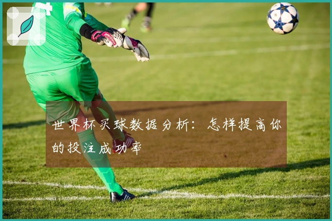 世界杯买球数据分析：怎样提高你的投注成功率