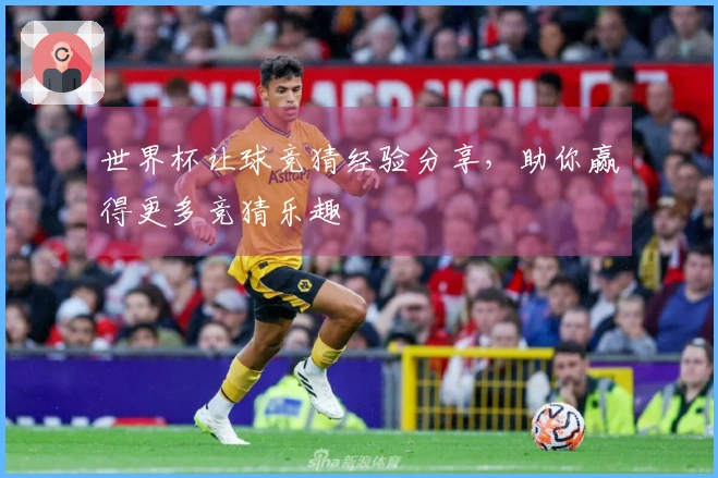世界杯让球竞猜经验分享，助你赢得更多竞猜乐趣