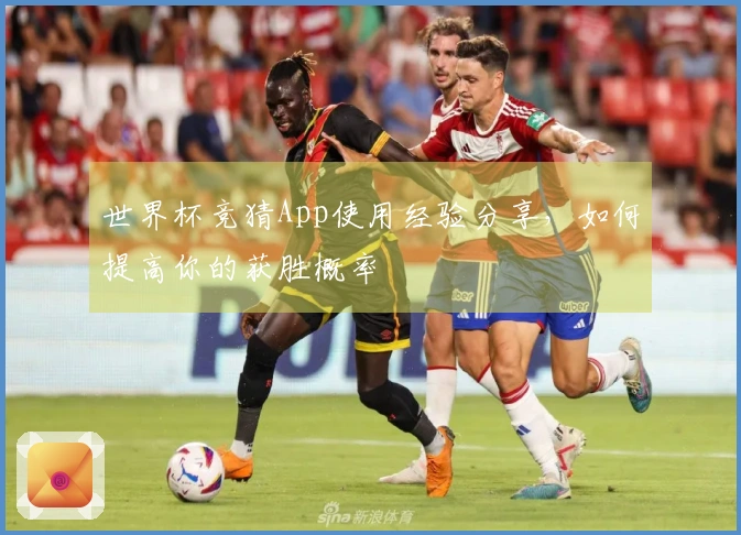 世界杯竞猜App使用经验分享,如何提高你的获胜概率