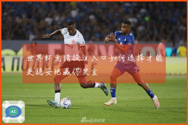 世界杯竞猜投注入口如何选择才能更稳妥地赢得奖金