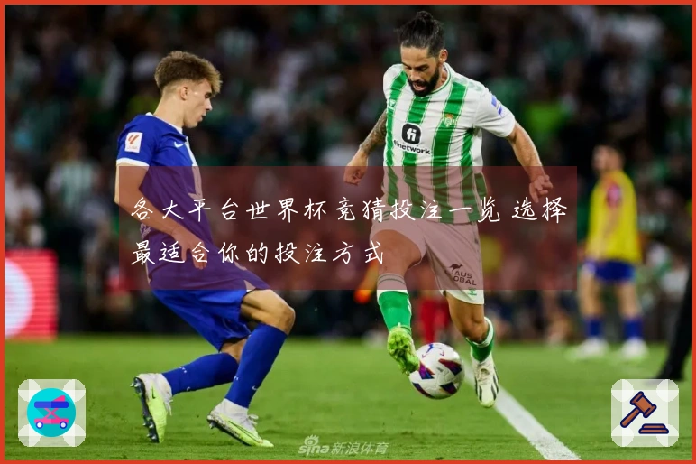 各大平台世界杯竞猜投注一览 选择最适合你的投注方式