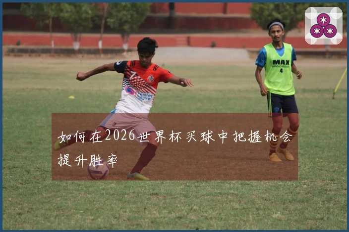 如何在2026世界杯买球中把握机会提升胜率