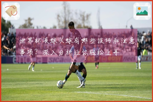 世界杯滚球买球有哪些技巧和注意事项？深入分析让你轻松上手